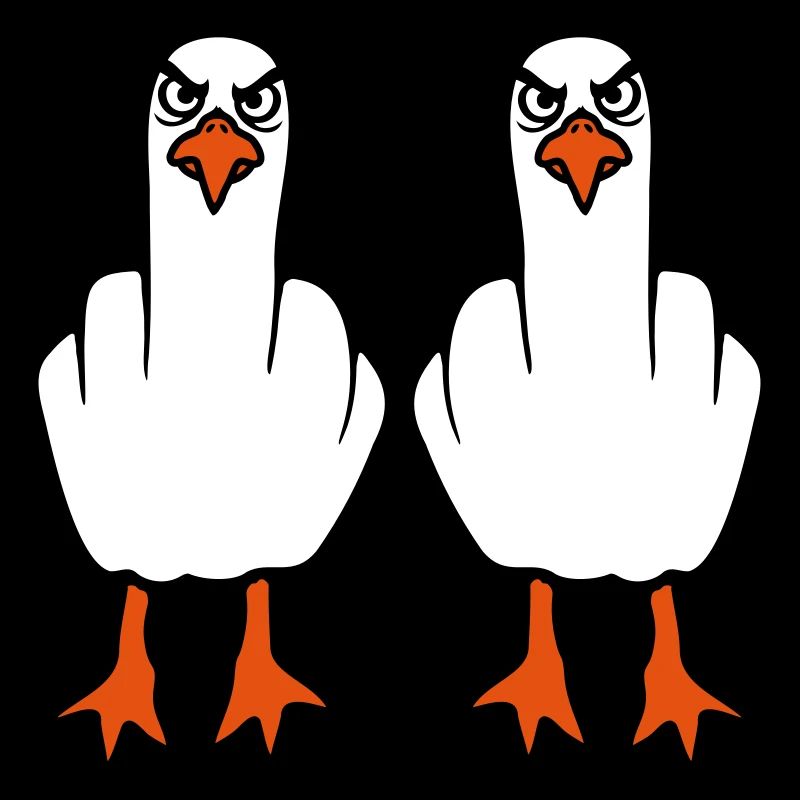 2 Möwen Mittelfinger Beleidigung Stinkefinger Team