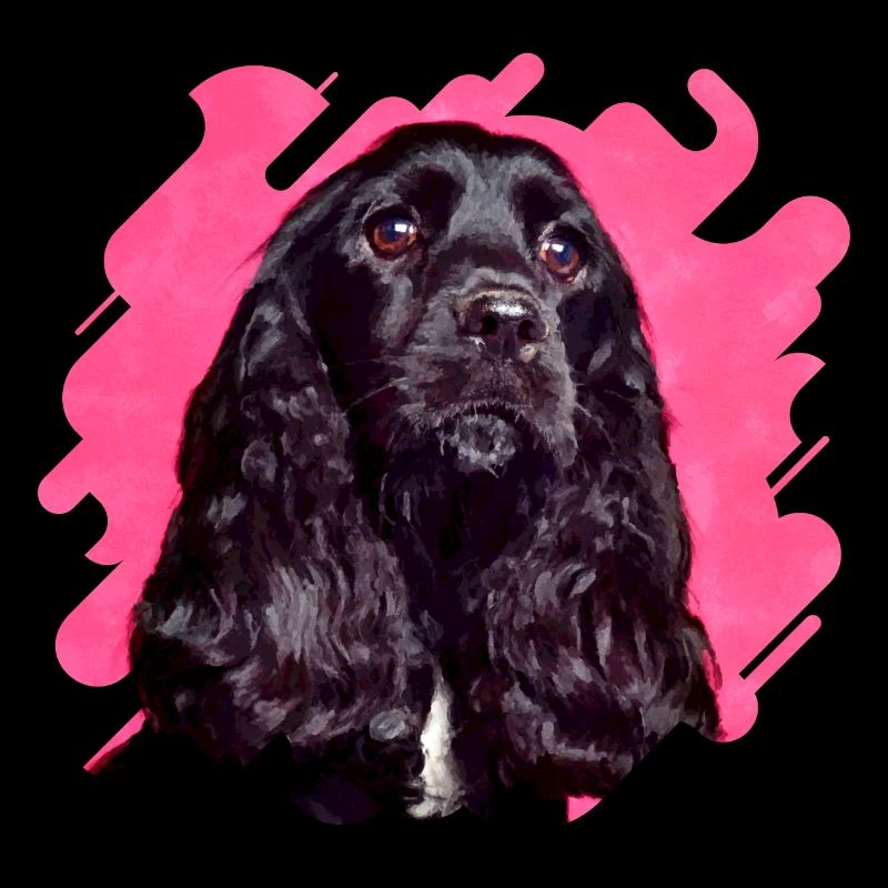 English Cocker Spaniel