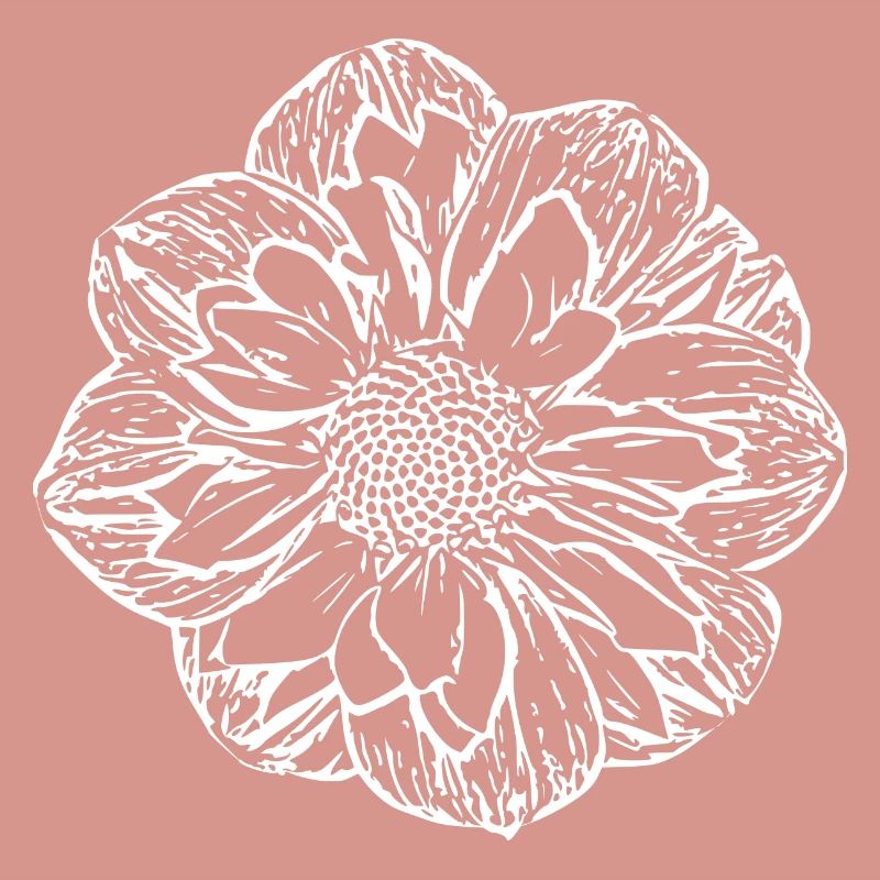 Fleur, Blanc, Fleur Blanche
