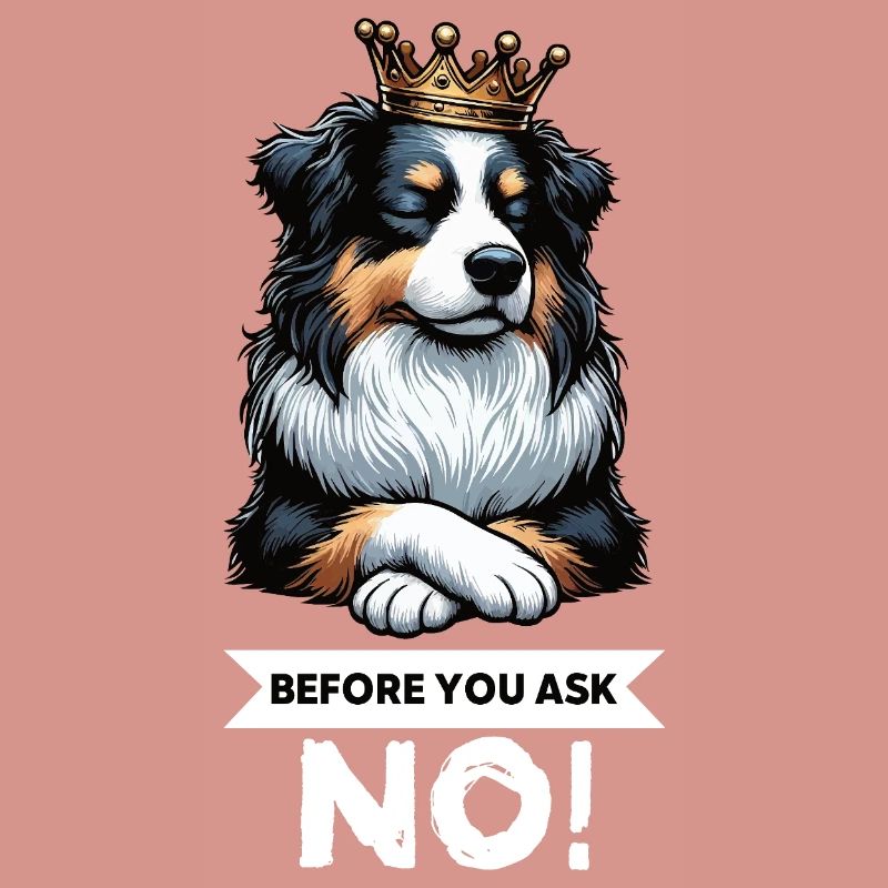 Before You Ask Australian Shepherd Aussie Aussies