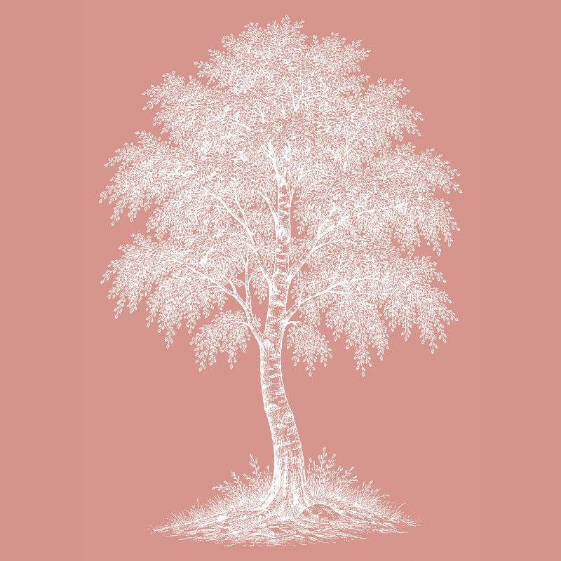 Birch