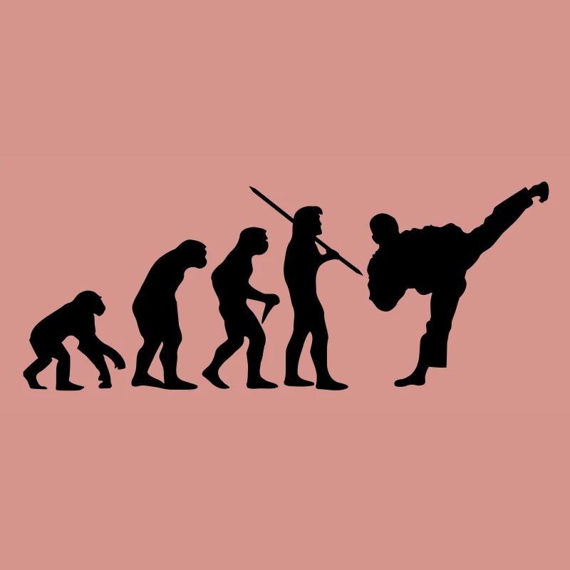 Evolution Karate / Taek Won Do