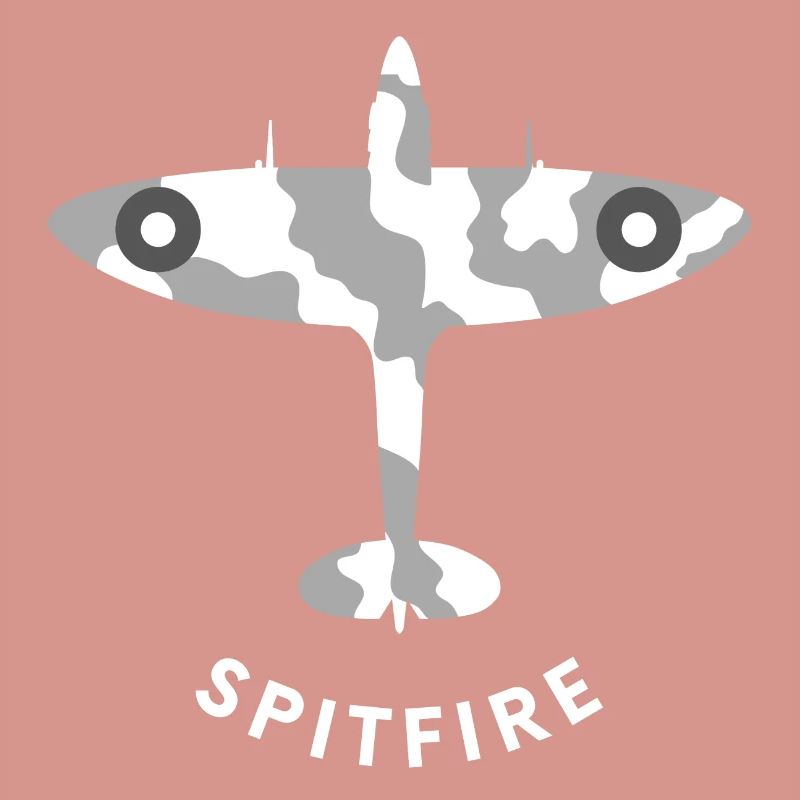 Spitfire fighter plane