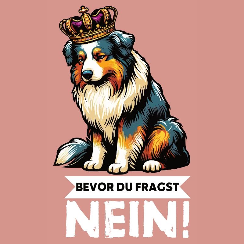 Bevor Du Fragst Australian Shepherd Aussie Aussie