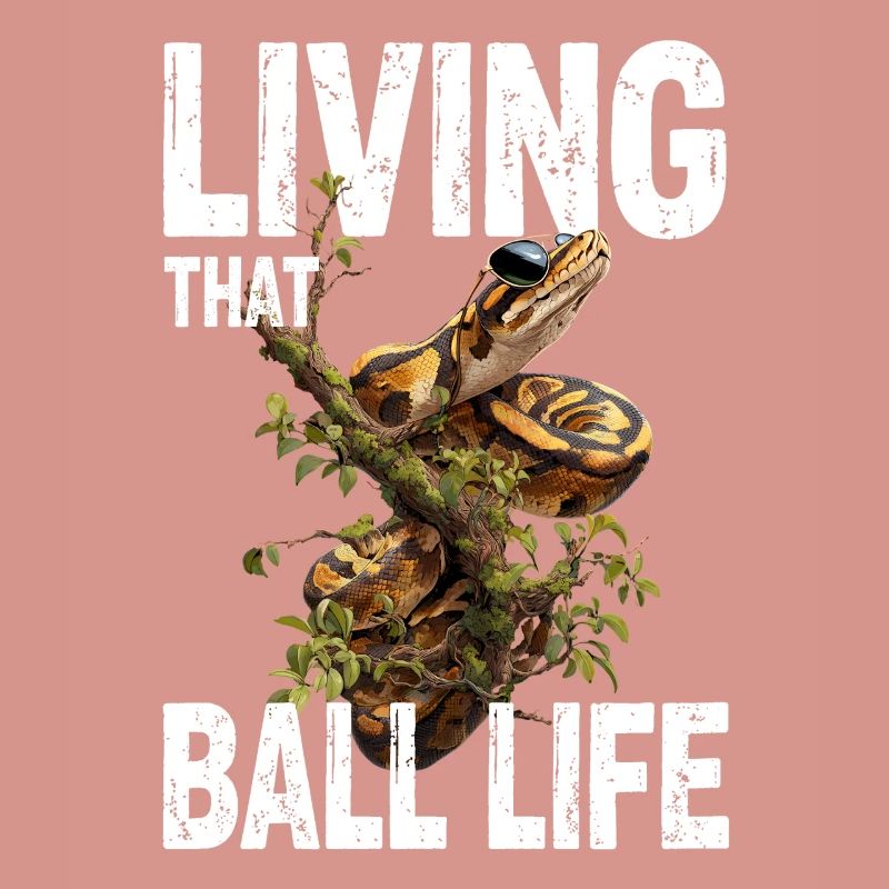 Python roi Serpents Amateurs de terrarium Python