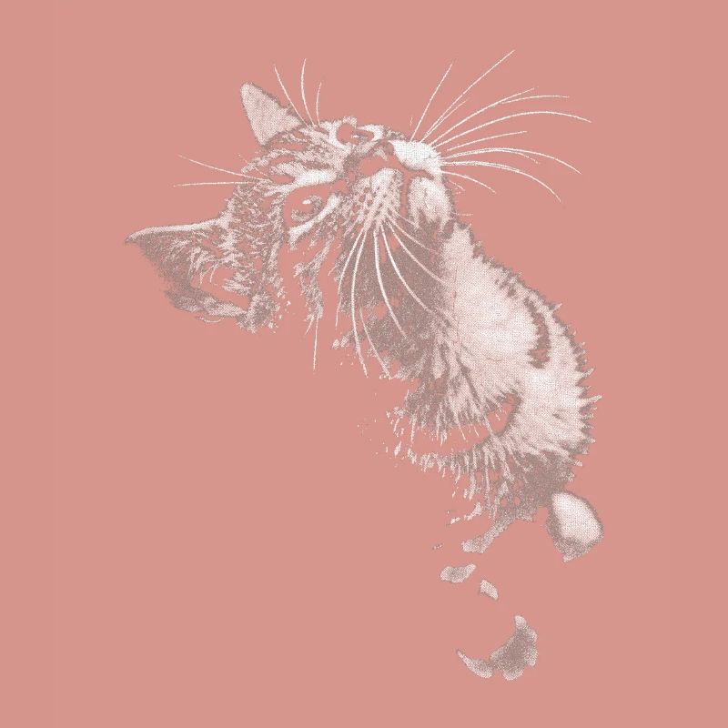 Regard de chat ronronnant en niveaux de gris