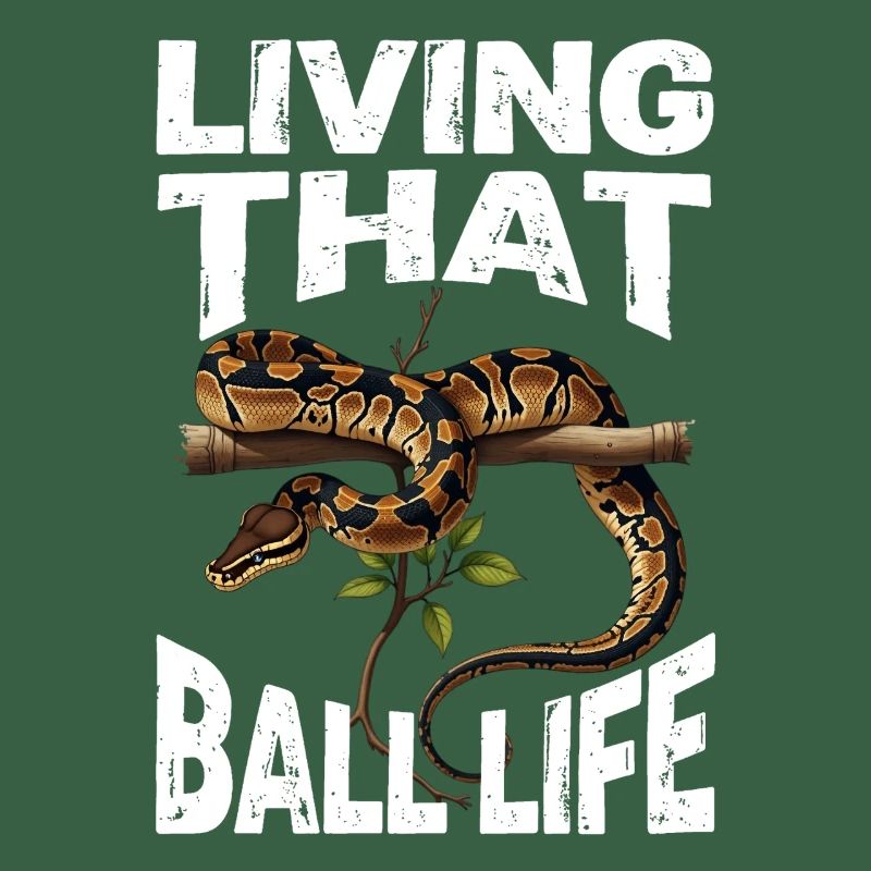 Königspython Schlangen Liebhaber Terrarium Python