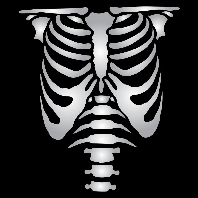 Human skeleton bones torso