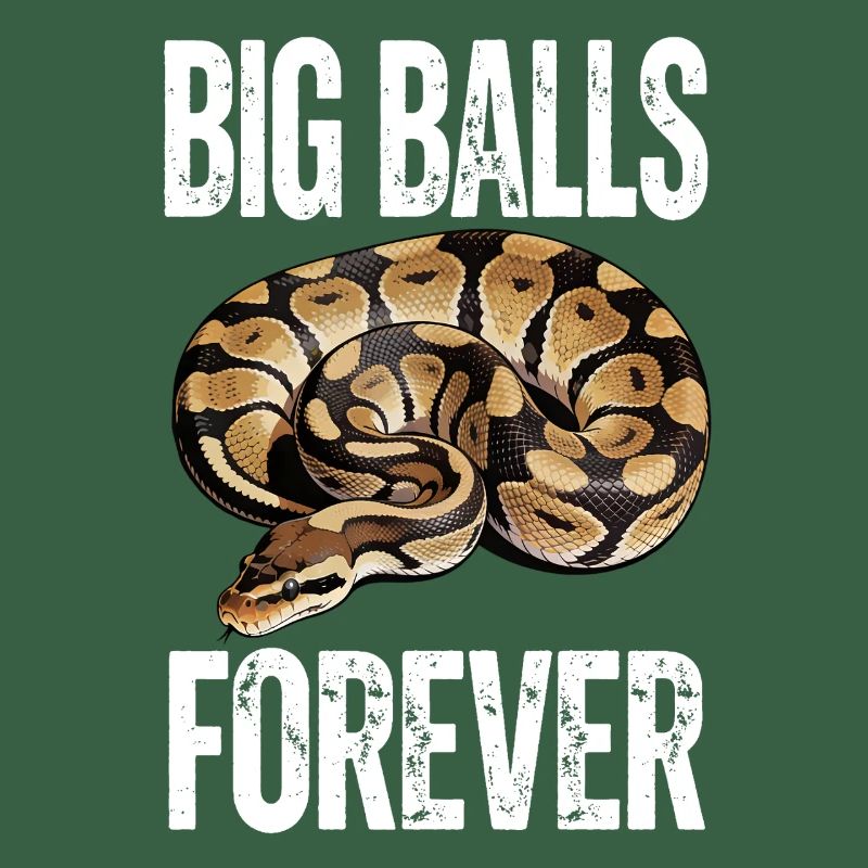 Python roi Serpents Amateurs de terrarium Python