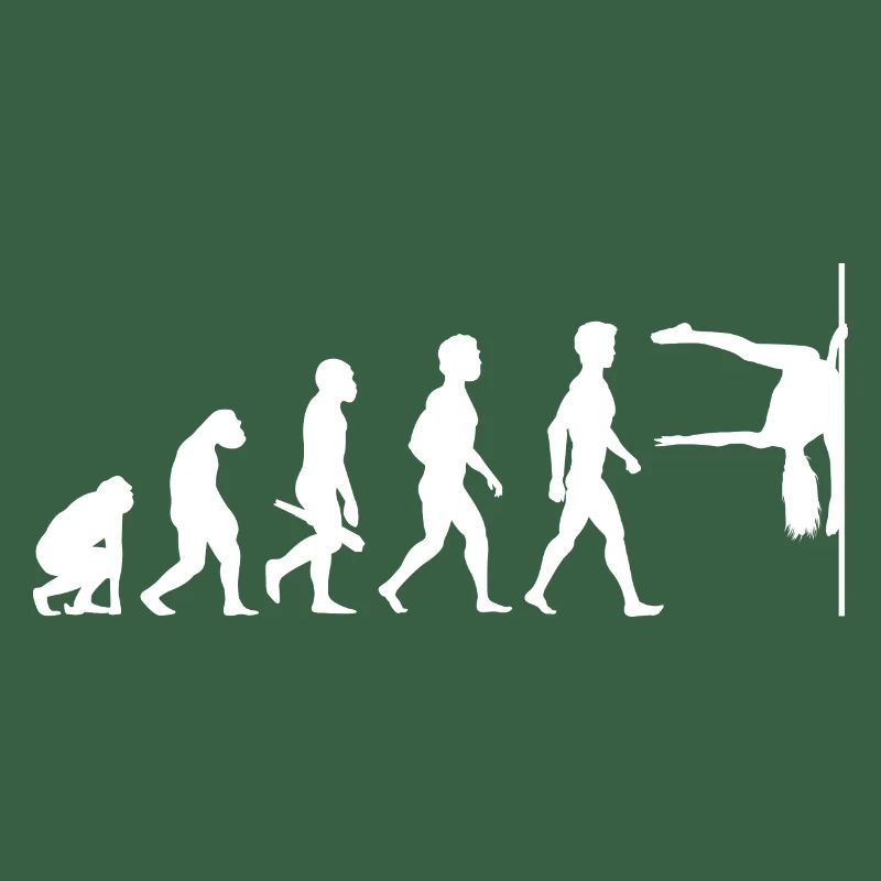 Evolution Poledance Pole Dancing Stange Tanzen