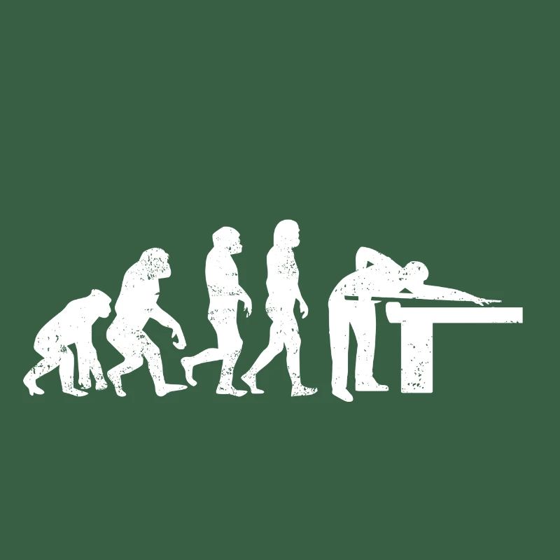 Billard evolution snooker pool geschenk billiard