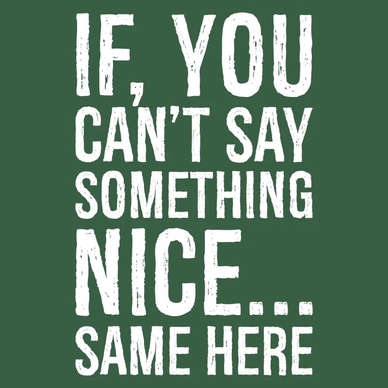 if you can't say something nice same here