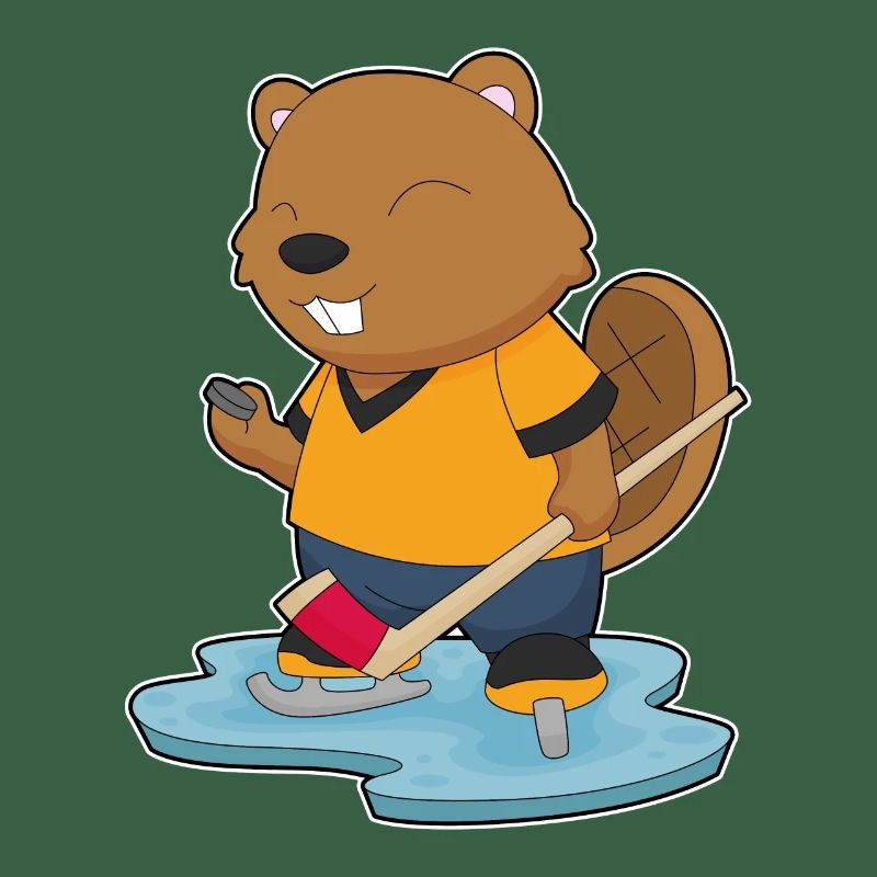 Biber Eishockey Eishockeyschläger