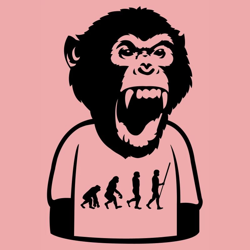 Affe Evolution