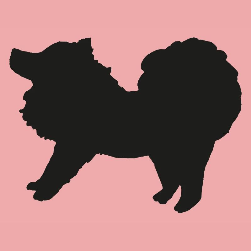 Spitz schwarz