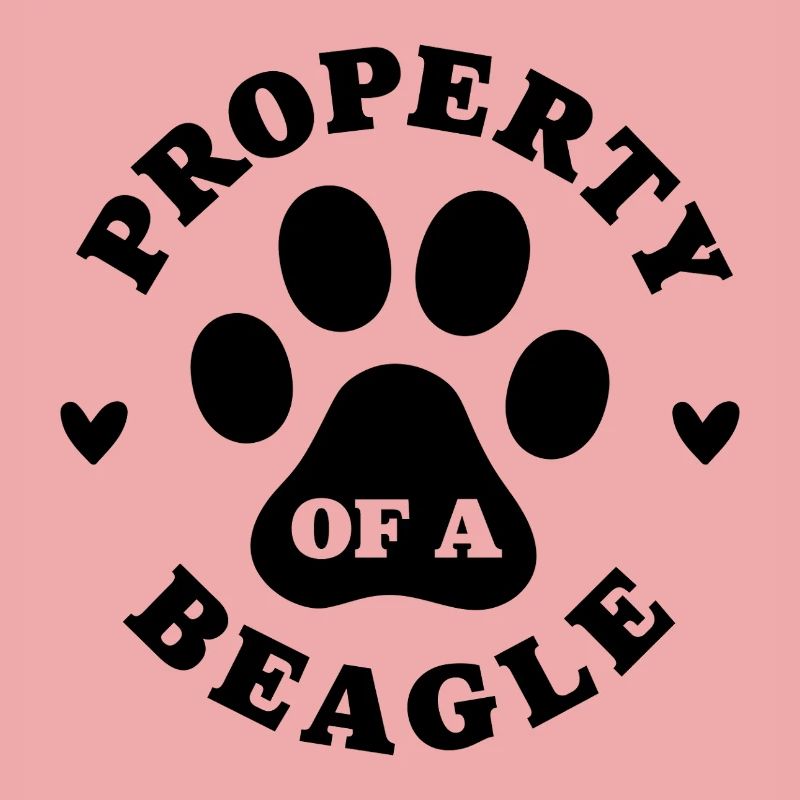 Eigentum eines Beagle
