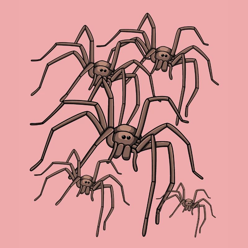 spider spider spider phobia panic phobia