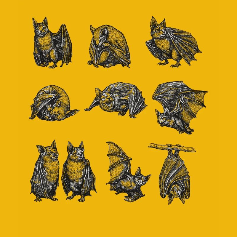 Night Bat Silhouettes Pattern