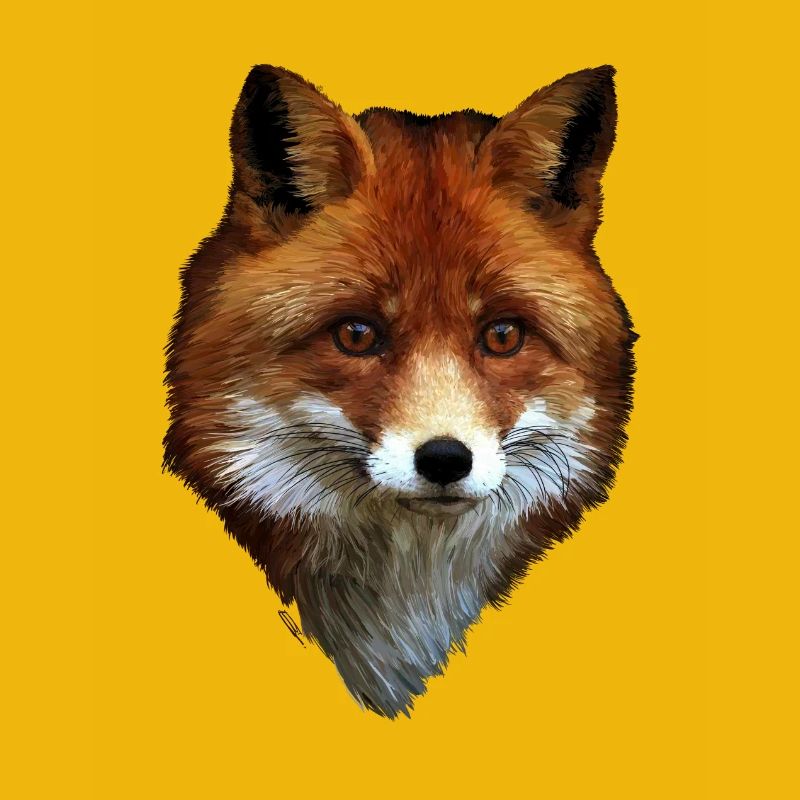Fuchs