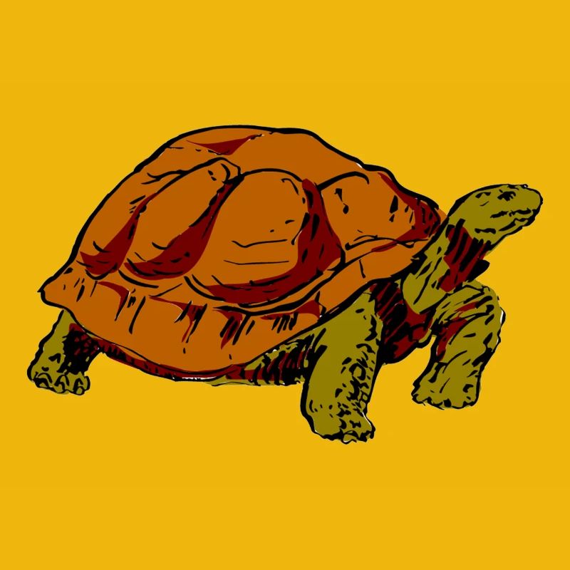 turtle