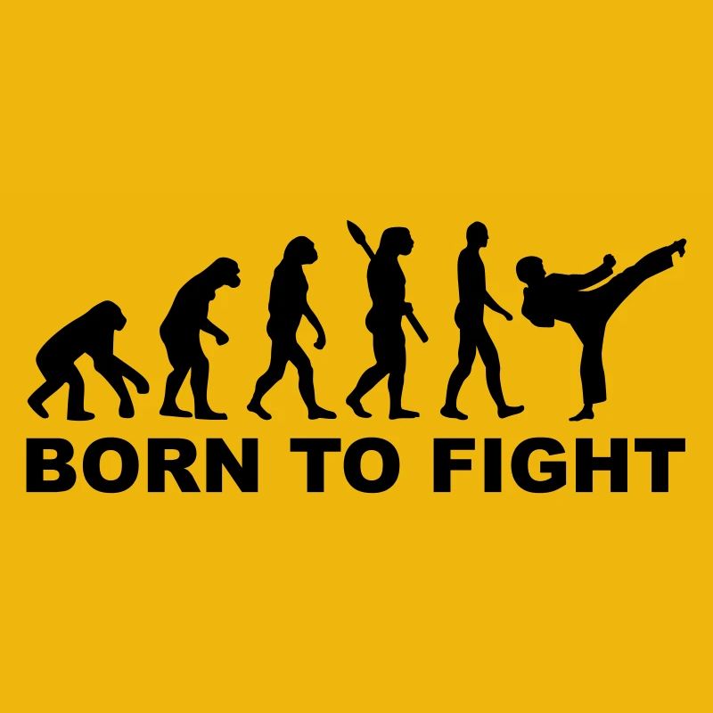 Evolution Karate