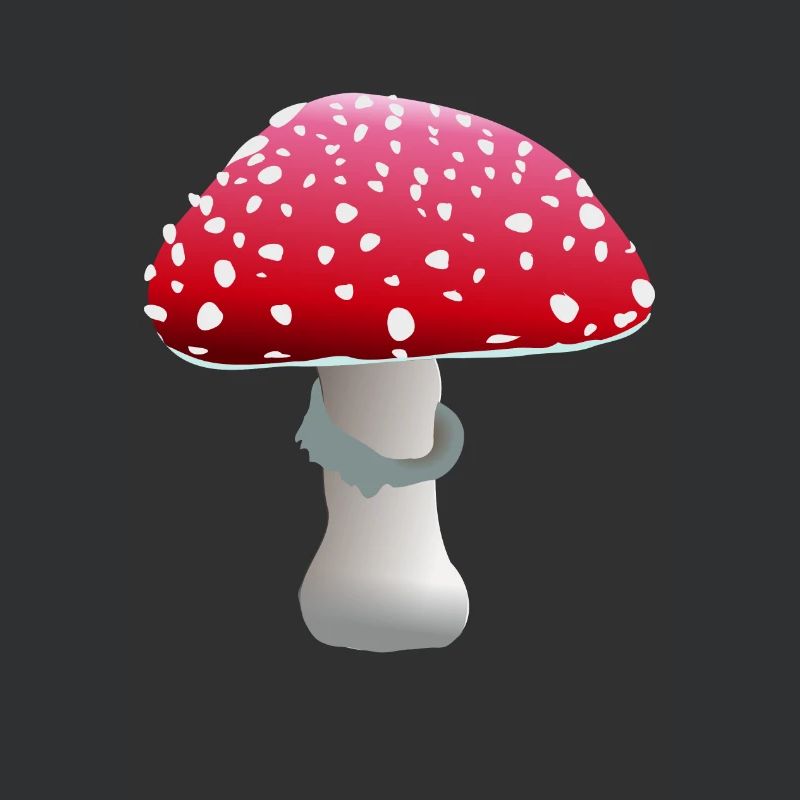 fly agaric