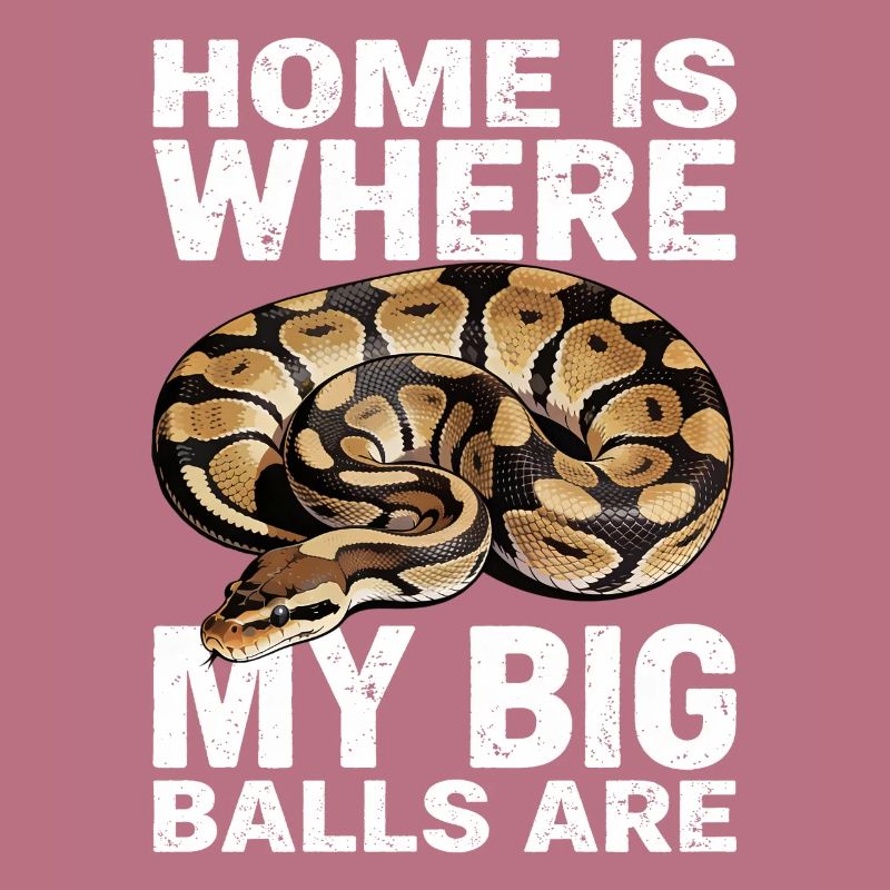 Python roi Serpents Amateurs de terrarium Python