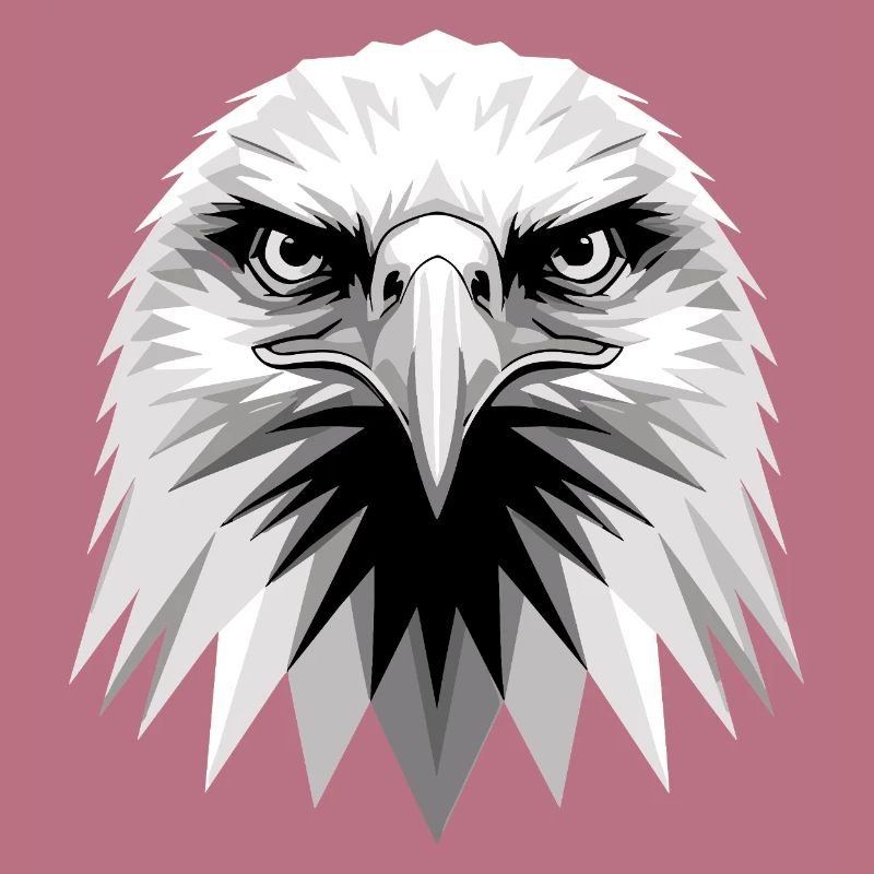 Eagle Bald Eagle Golden Eagle White-tailed Eagle