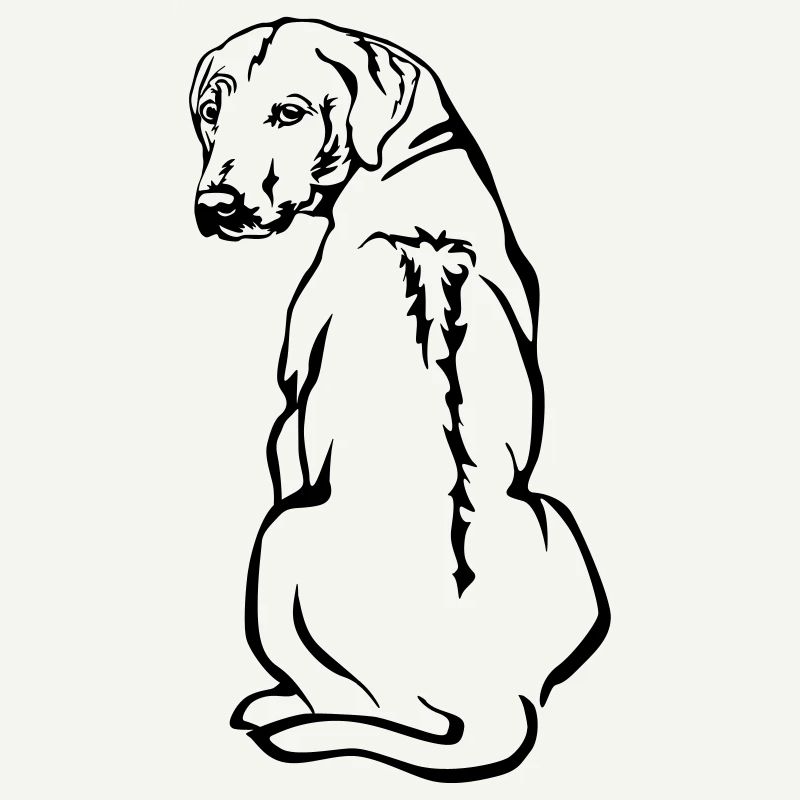 Rhodesian Ridgeback