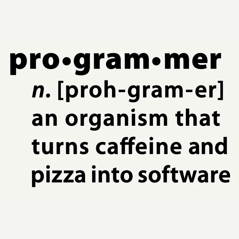 Programmer Wörterbuchdefinition
