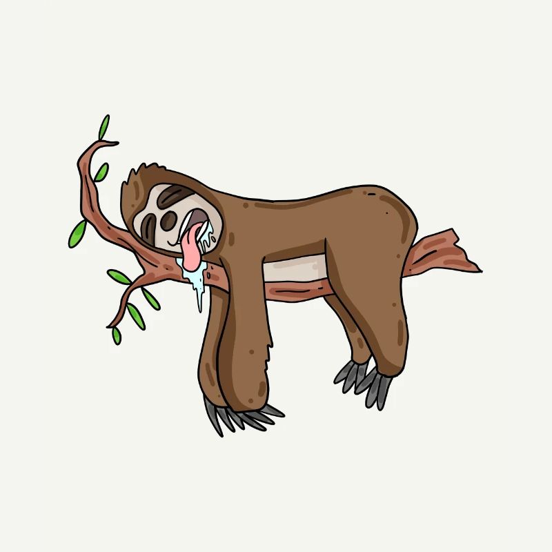 Sleeping sloth