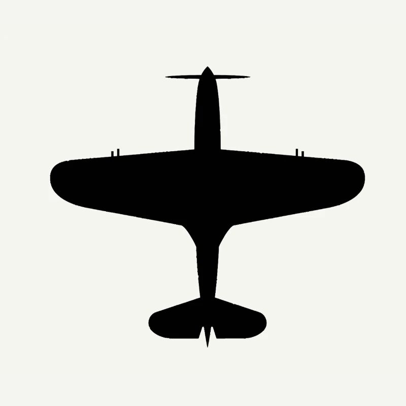 Top-Down Flugzeug Silhouette