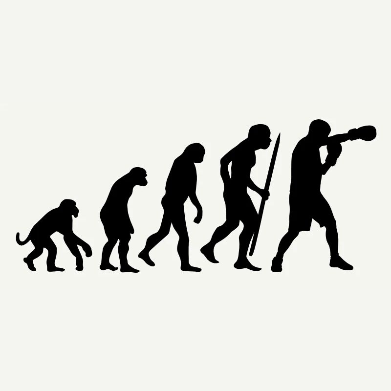 Evolution de la boxe