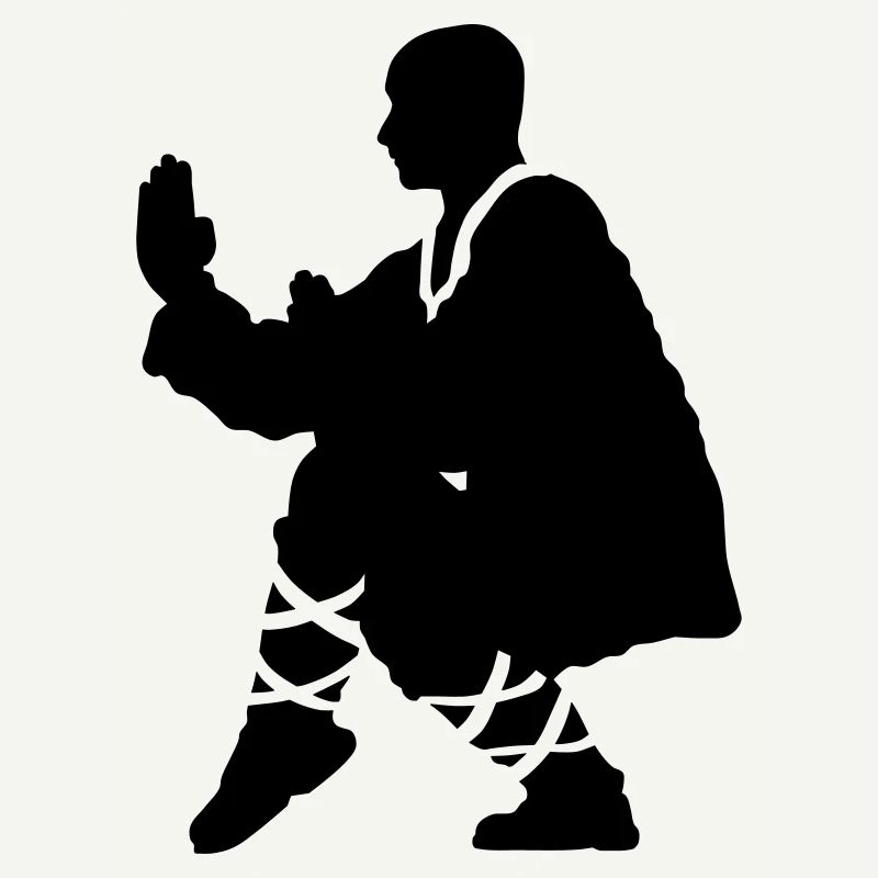 Kung fu Shaolin