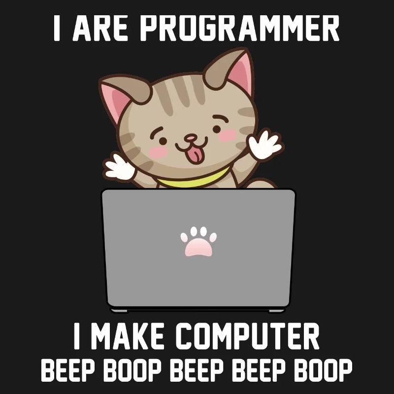 Programmierer