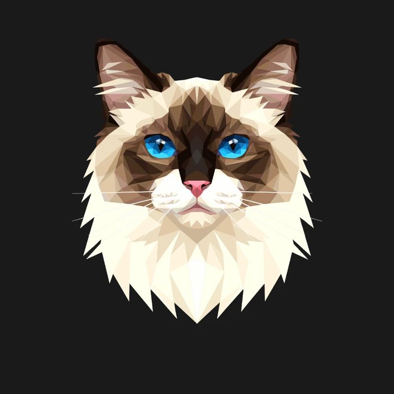 Chat Birman Chat Birman Sacré Chat Birman Mignons Chats Birman