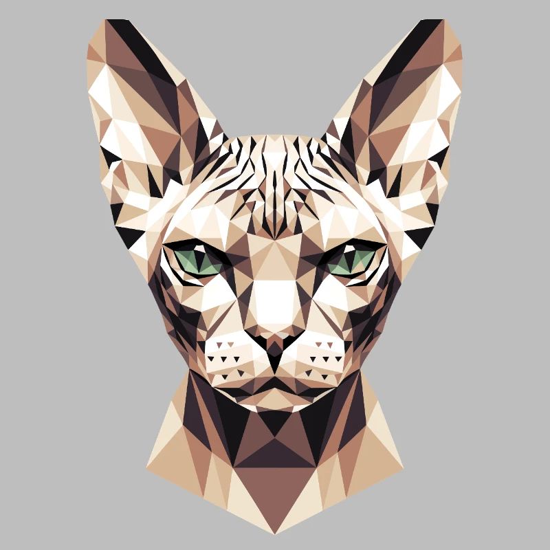 Sphynx Chat Sphynx Chat Chat Canadien Sphinx mignon