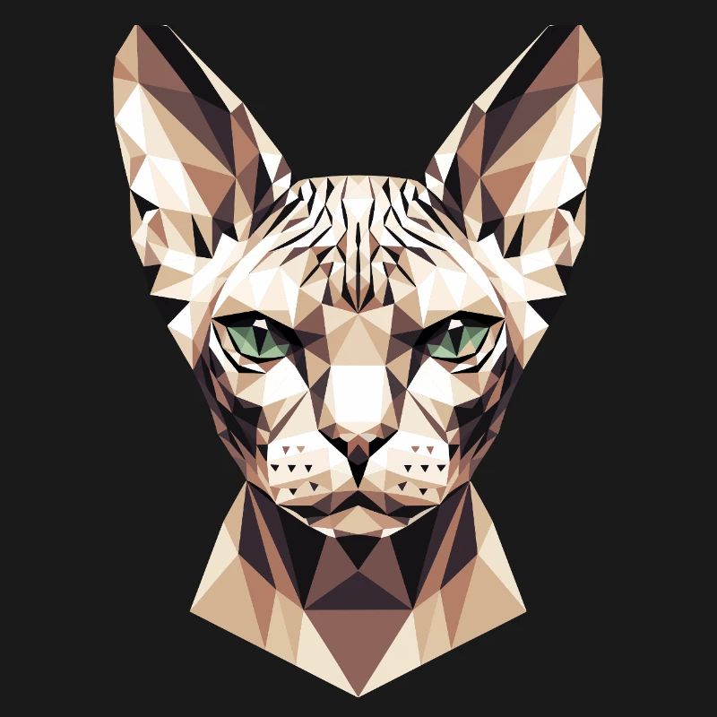 Sphynx Chat Sphynx Chat Chat Canadien Sphinx mignon