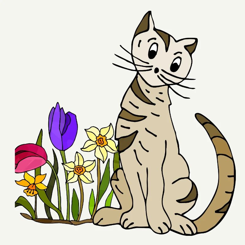 chat