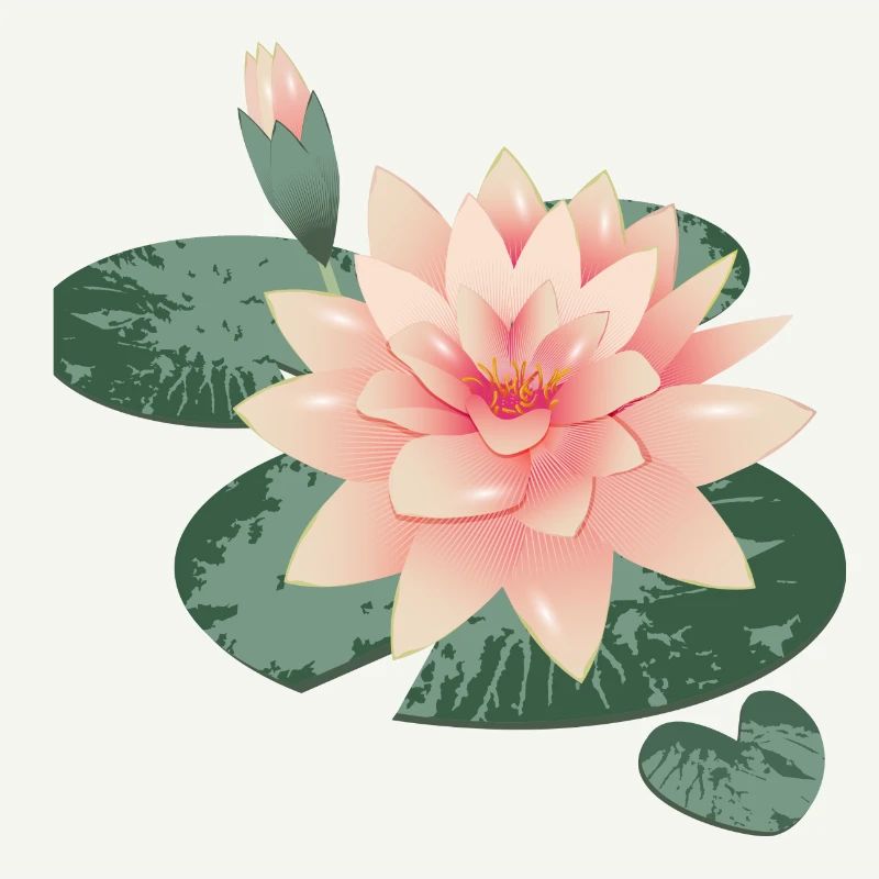 Fleur de nénuphars avec bourgeon dans l’étang de nénuphars