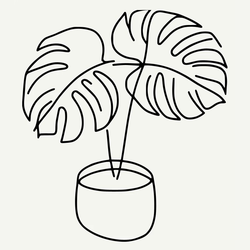 Monstera