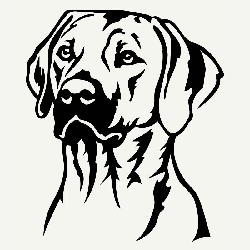Rhodesian Ridgeback Head