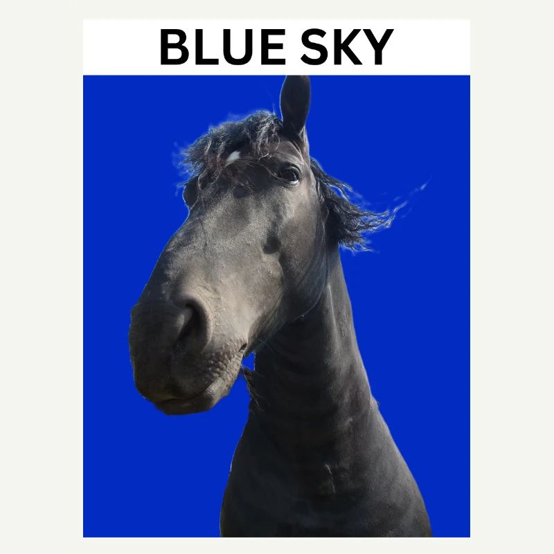 Ciel bleu et cheval