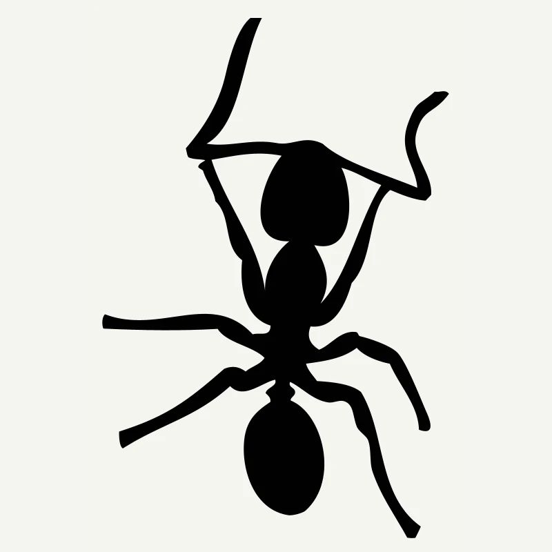 Fourmis - Insectes - Fourmis