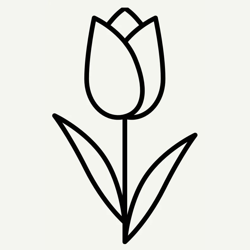 Tulip
