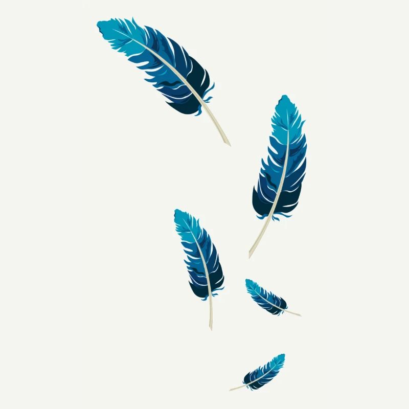 Blue Feathers