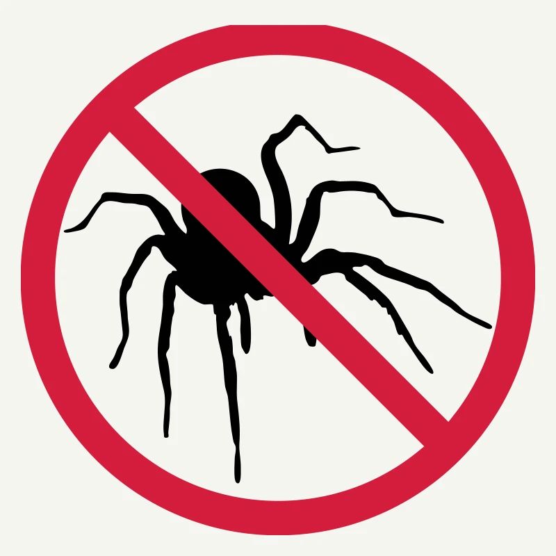aucune araignée interdit bouclier conception araignée cl