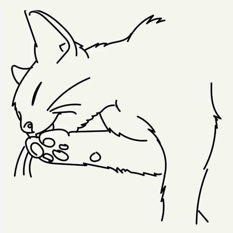 Chat