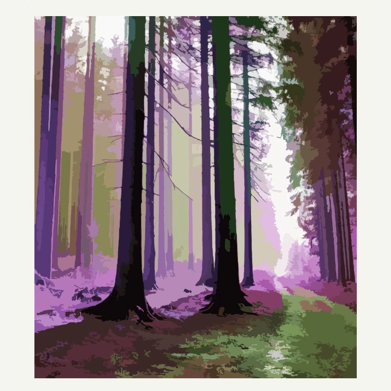 Haunted Cloud Forest