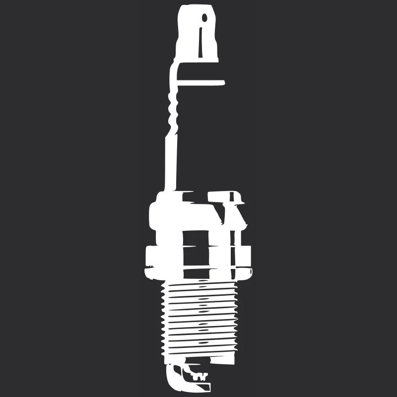 the spark plugs